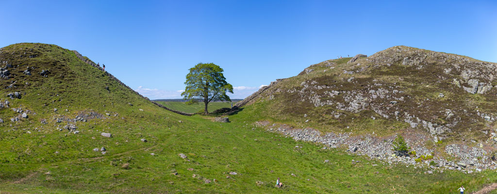 After Sycamore Gap’s Destruction, How Many More Landscape Views Are Under Threat?