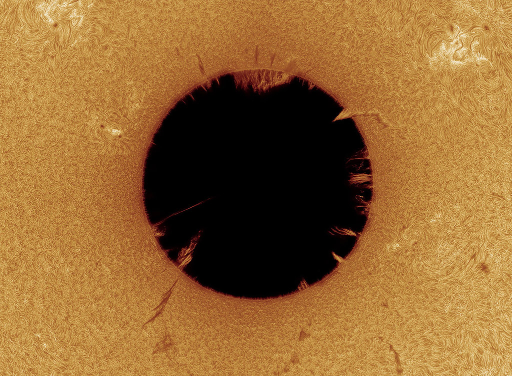 A photograph of the Sun turned ‘inside-out’. The photographer inverted the rectangular image onto polar coordinates to highlight the smaller prominences that occur on the edge of the Sun. 
