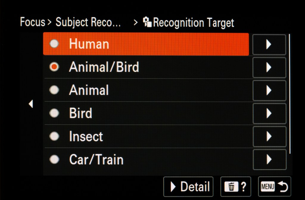 Sony Alpha 6700 AF menu