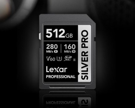 Lexar Professional Silver Pro SD card