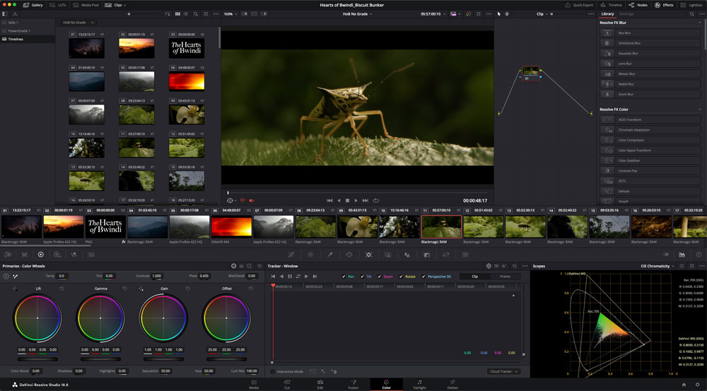 DaVinci Resolve, Hearts of Bwindi, colour grading