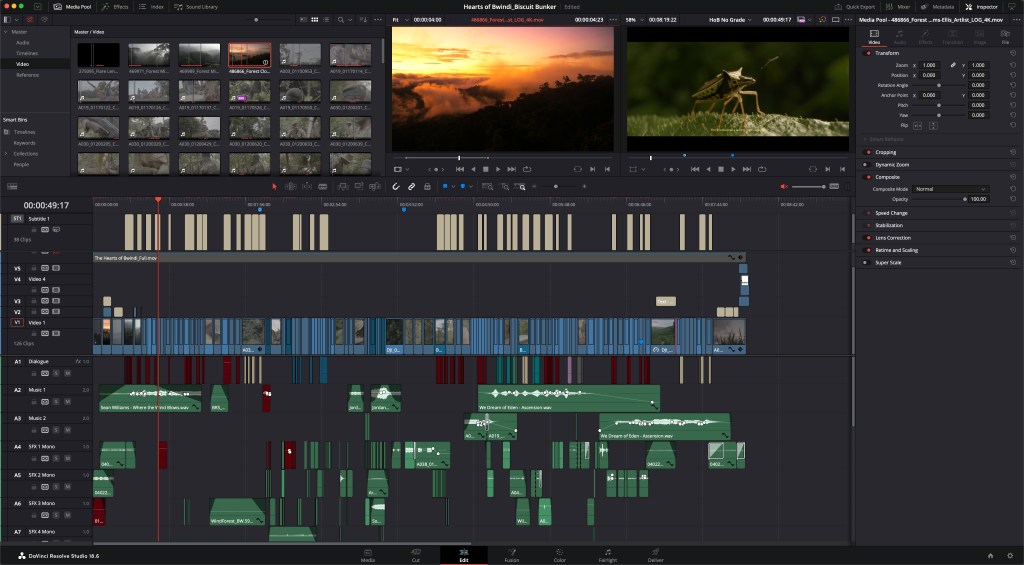 DaVinci Resolve, Hearts of Bwindi, editing 2