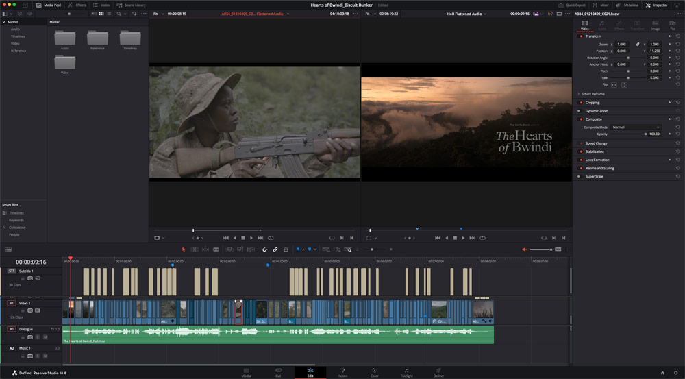 DaVinci Resolve, Hearts of Bwindi, editing