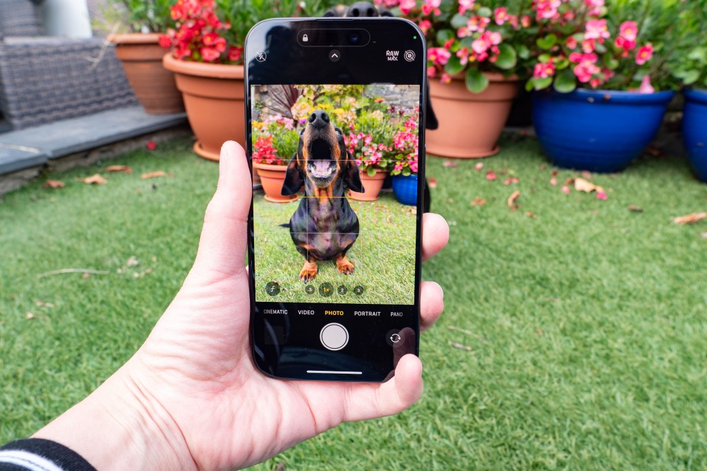 iPhone 15 Pro automatic portrait detection