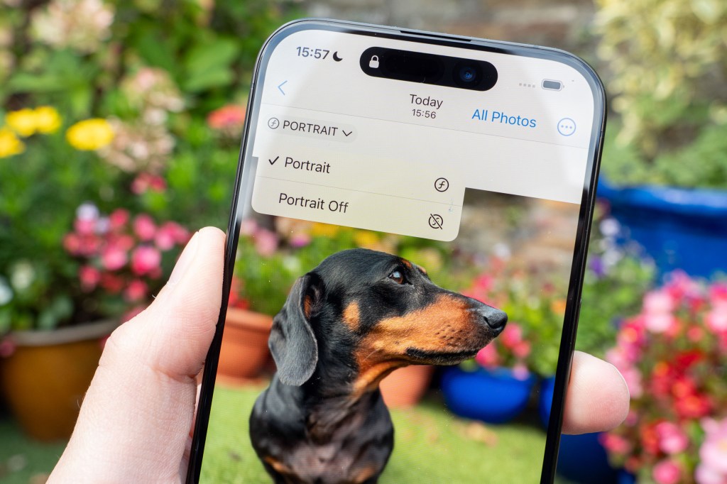 iPhone 15 Pro Portrait options