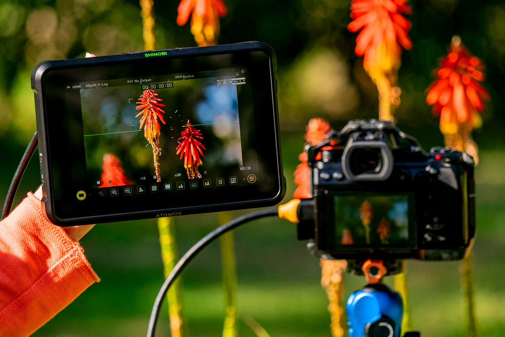 Atomos Shinobi 7 Review - Amateur Photographer