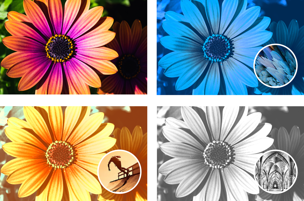 Adobe Photoshop Elements 2024 ColourMatch