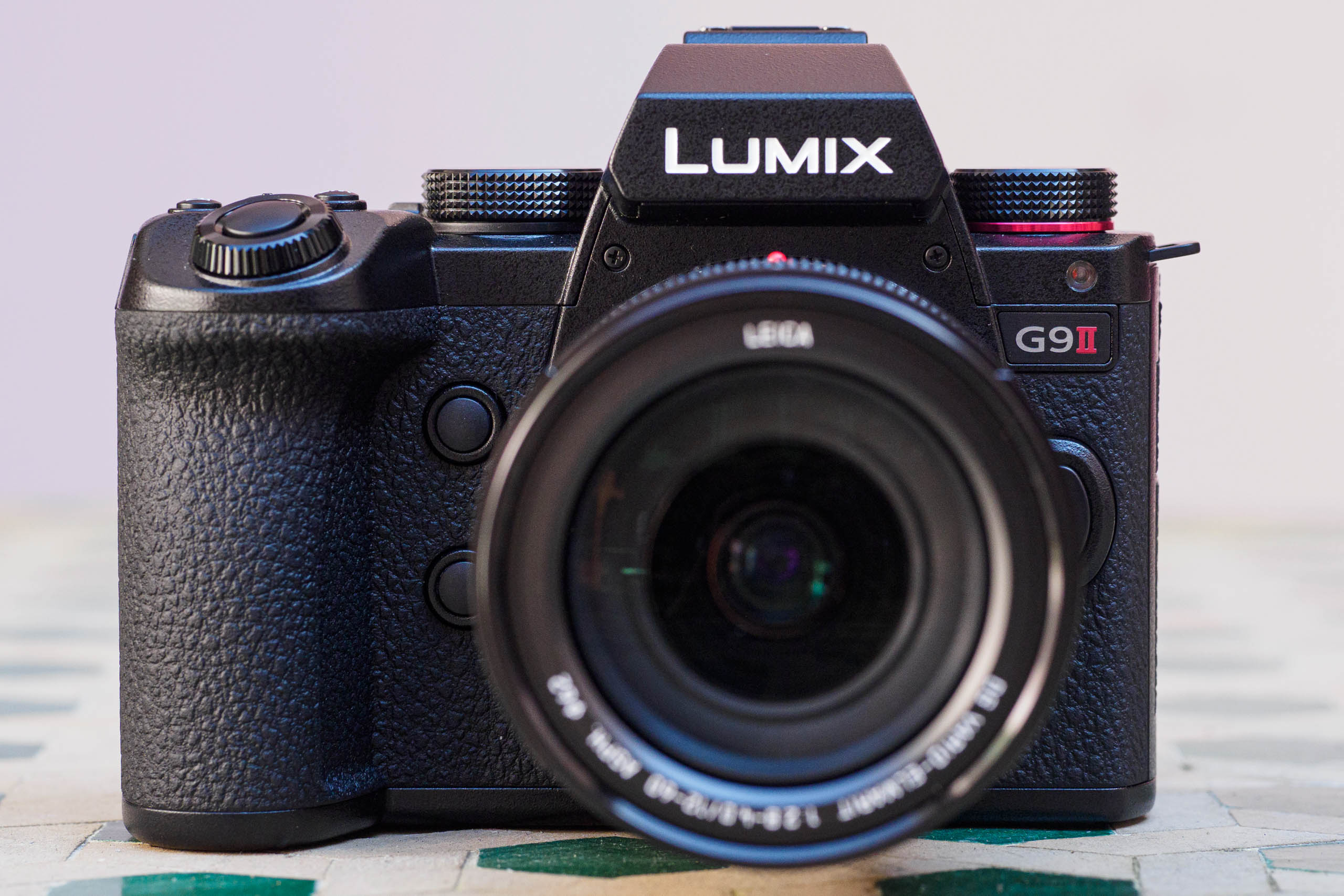 Panasonic Lumix G9 II review: a superb wildlife camera