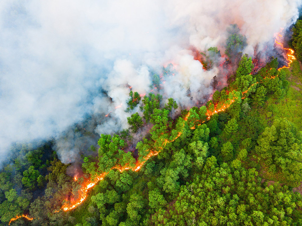 Tran Tuan took a terrifying drone shot of a wildfire destroying a forest in Bac Giang province, Vietnam. Forest Fire Boundary shows a split landscape; half lush and green, the other half engulfed by smoke and flames.