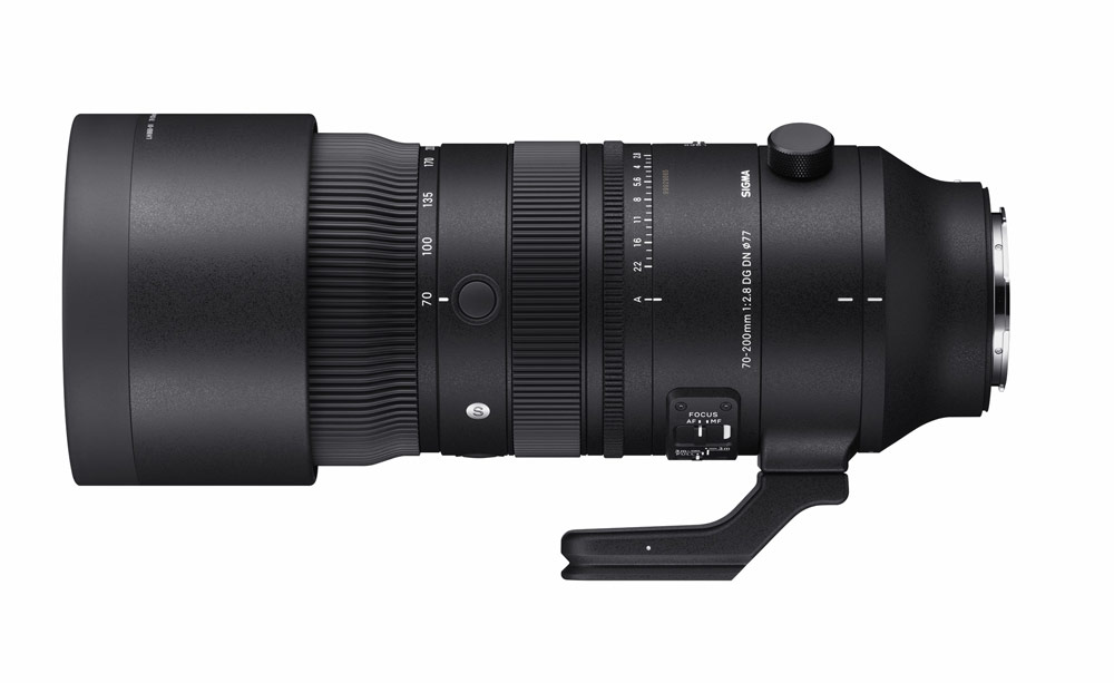 Sigma 70-200mm F2.8 DG DN OS | Sports lens, horizontal shot