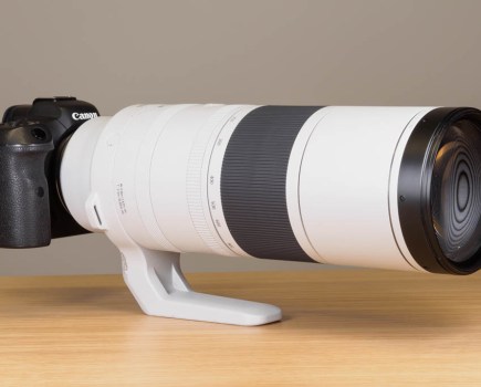 Canon RF 200-800mm F6.3-9 IS STM on Canon EOS R5
