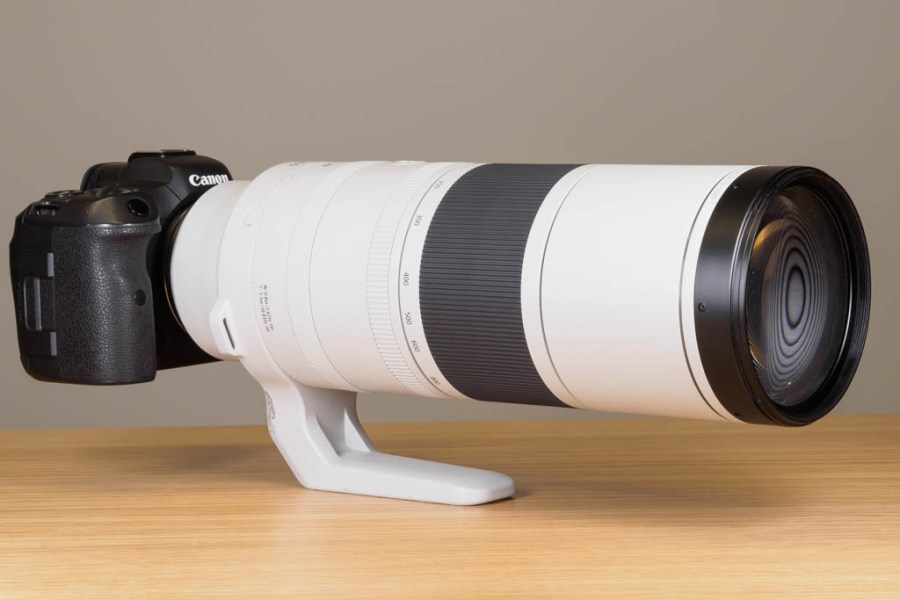 Canon RF 200-800mm F6.3-9 IS STM on Canon EOS R5