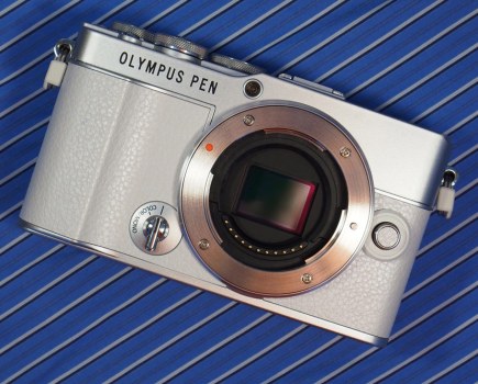 Olympus PEN E-P7 in white. Photo Joshua Waller