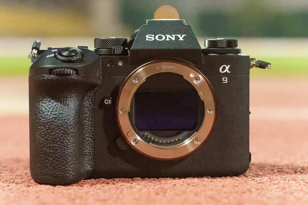 Review: Sony a6600 (The 'Lil a9 II With Problems They Refuse to Fix)