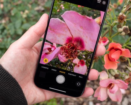 macro mode in native camera app, displaying a pink rose, the same scene in the background