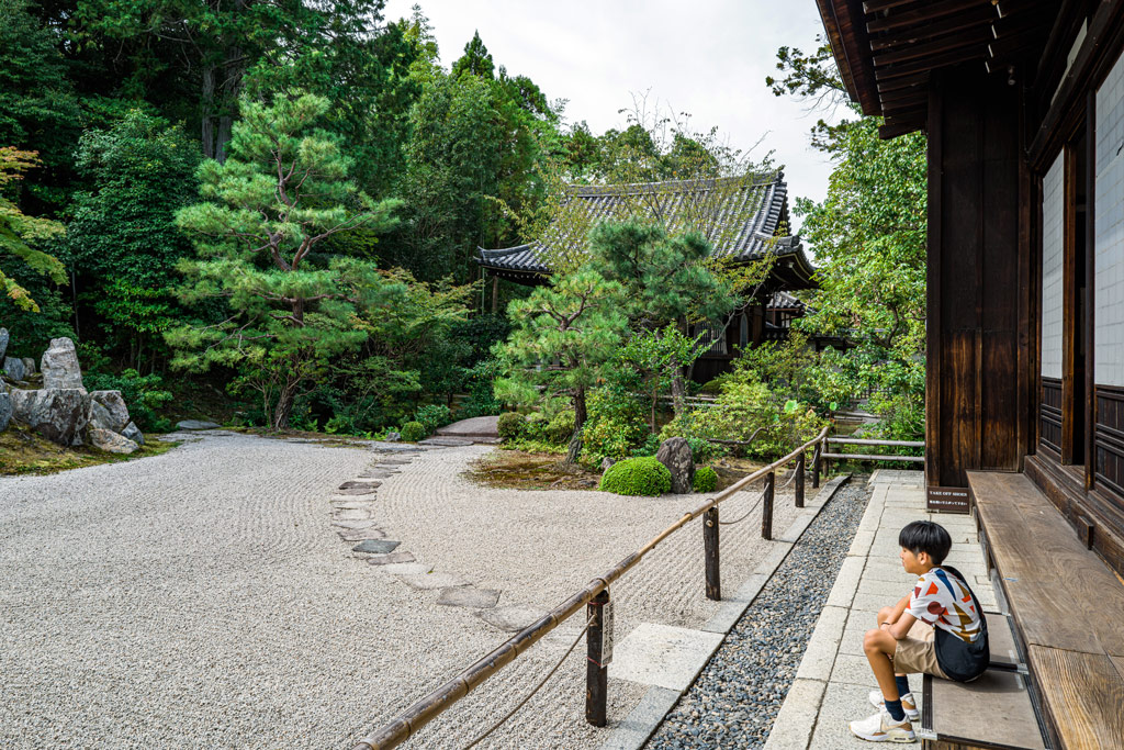 A Japanese boy sitting on the steps of a shrine overlooking a garden