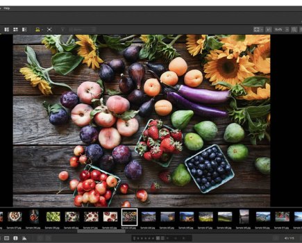 Nikon NX Studio editing software interface