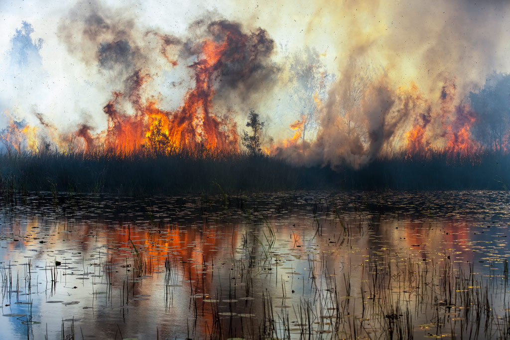 landscape of burning trees and water