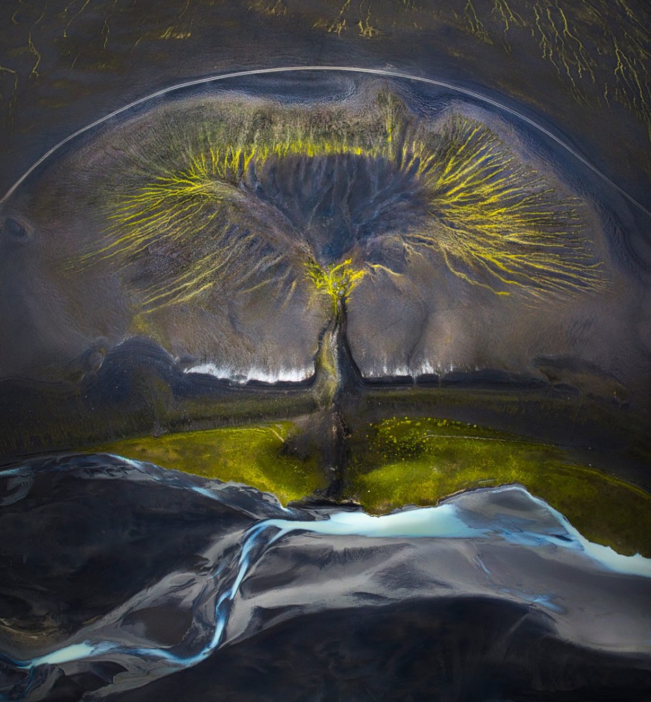 10th International Landscape Photograph of the Year 2023, Third place, Isabella Tabacchi - Tree Of Life.