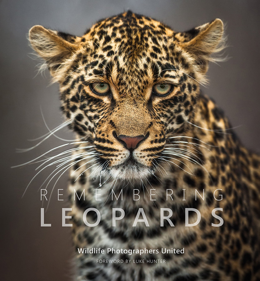Remembering Leopards by Wildlife Photographers United