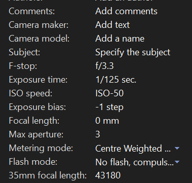 Agfaphoto Realishot DC8200 EXIF information as reported in Windows.