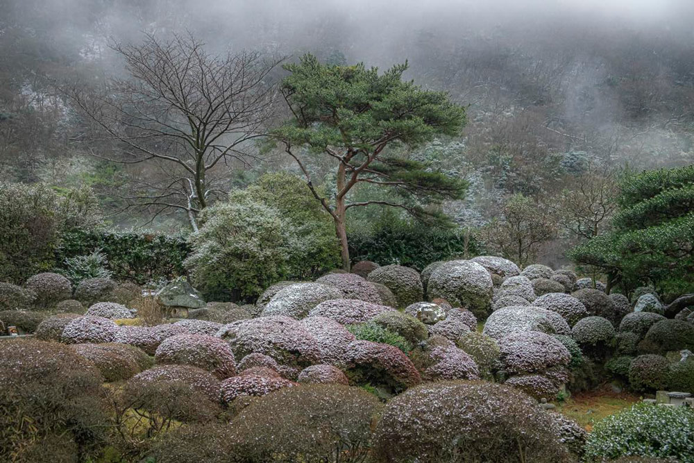 Tim Bird Travel Photographer of the Year portfolio 1