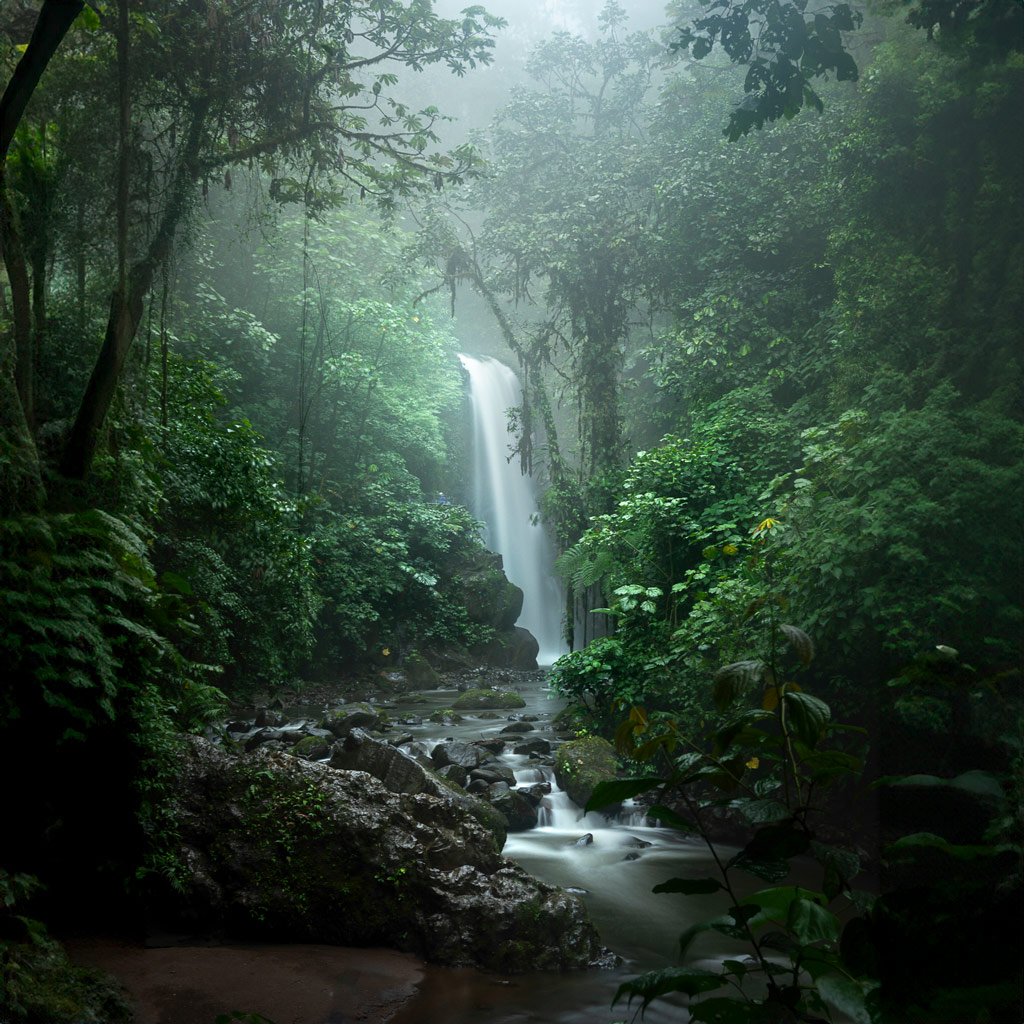 AI tool Photoshop, generative fill tool, forest scenery with waterfall