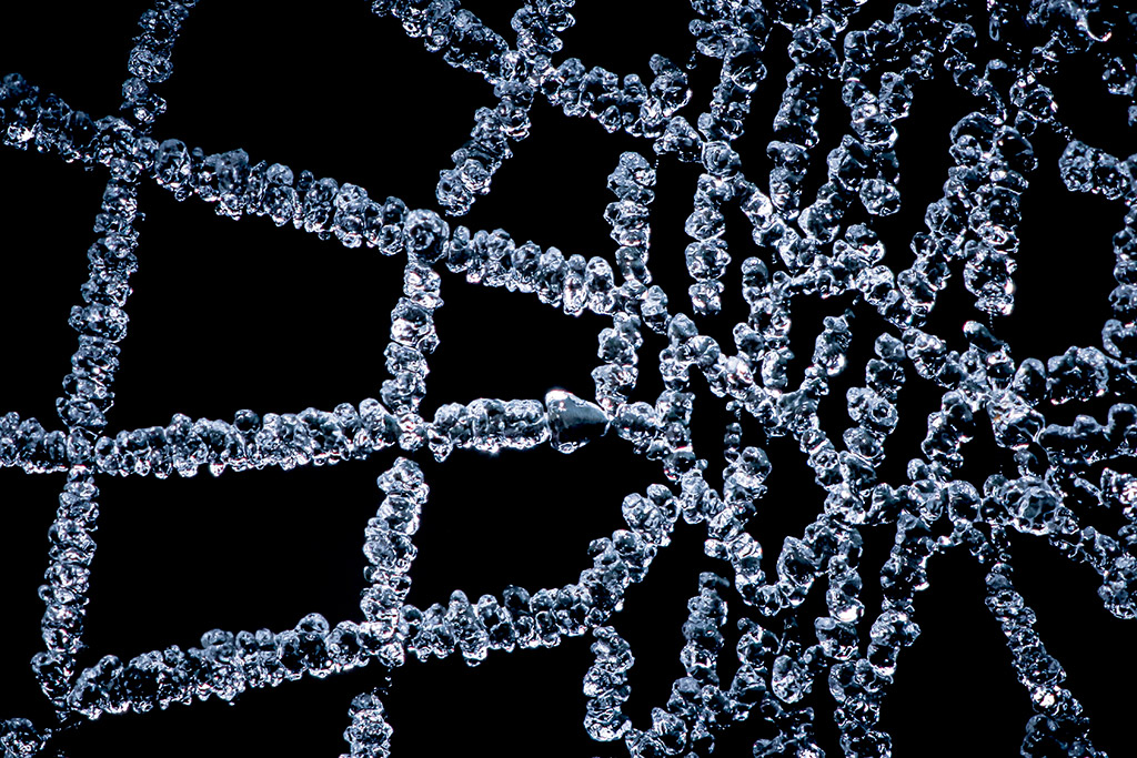 macro morning frost close-up of a spiders web