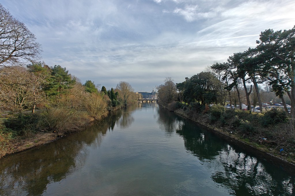One Plus 12 sample image a river with tall trees on both sides and a modern building in the distance
