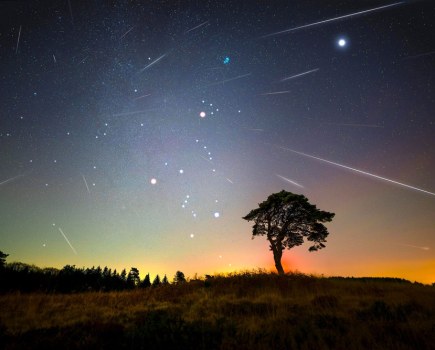 Quadrantid meteor shower, Josh Dury tips