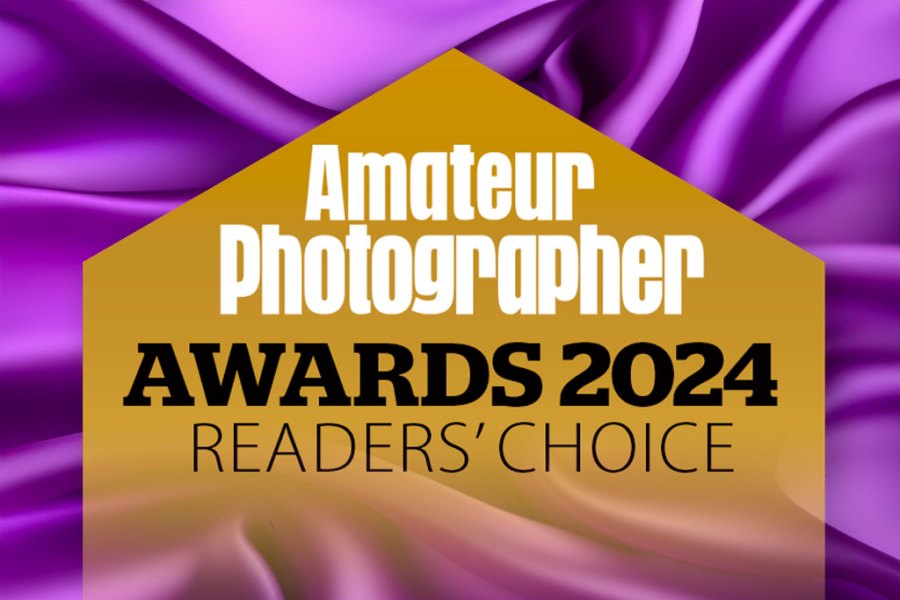 AP Awards 2024 Reader's choice