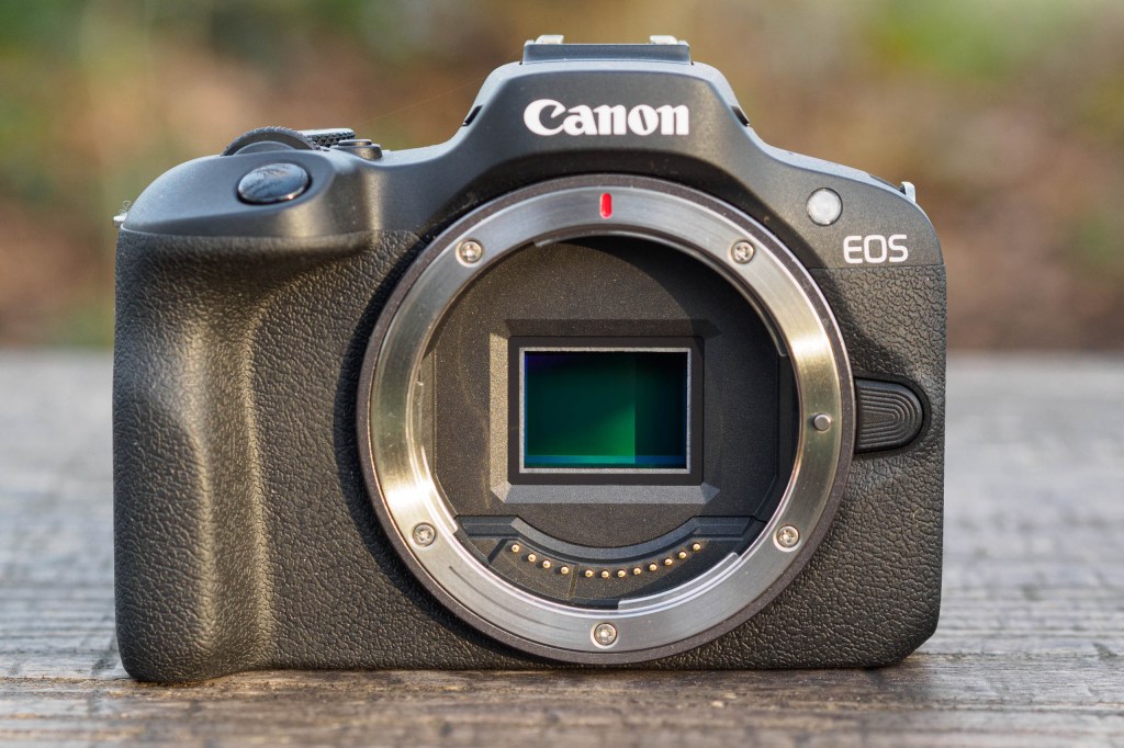 Canon EOS R100 24MP APS-C image sensor