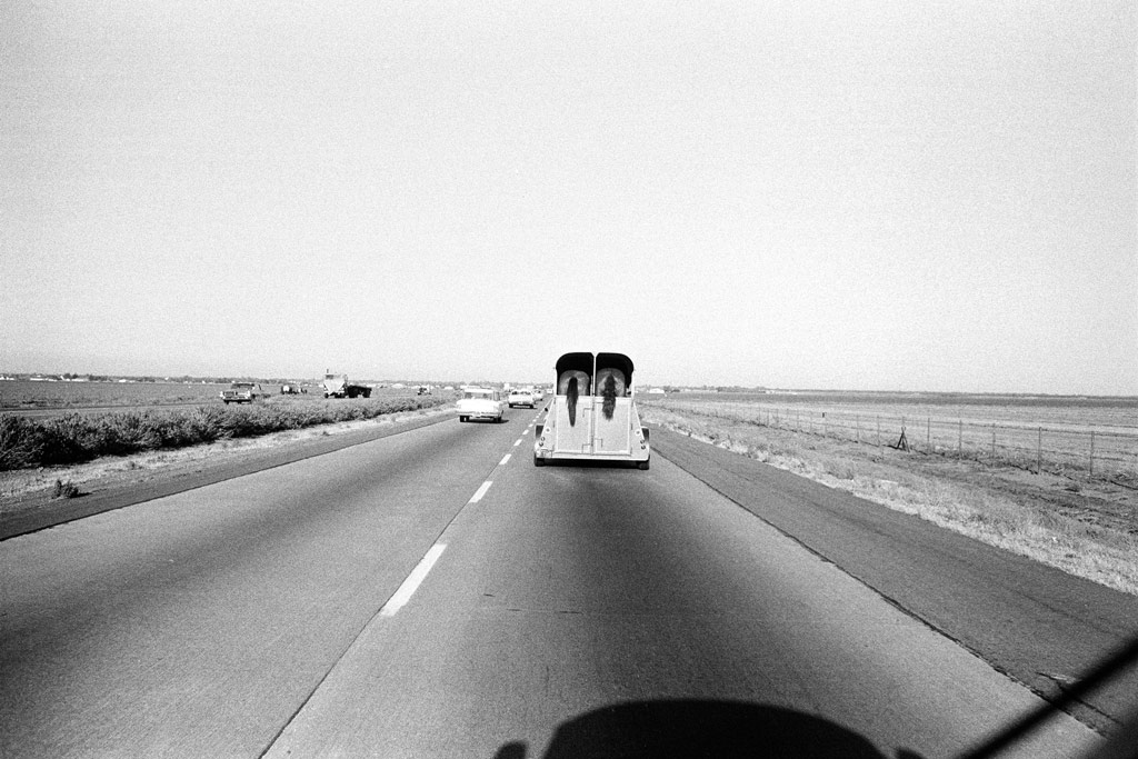Joel Mayerowitz, black and white image of a horse trailer with two horses driving on the highway