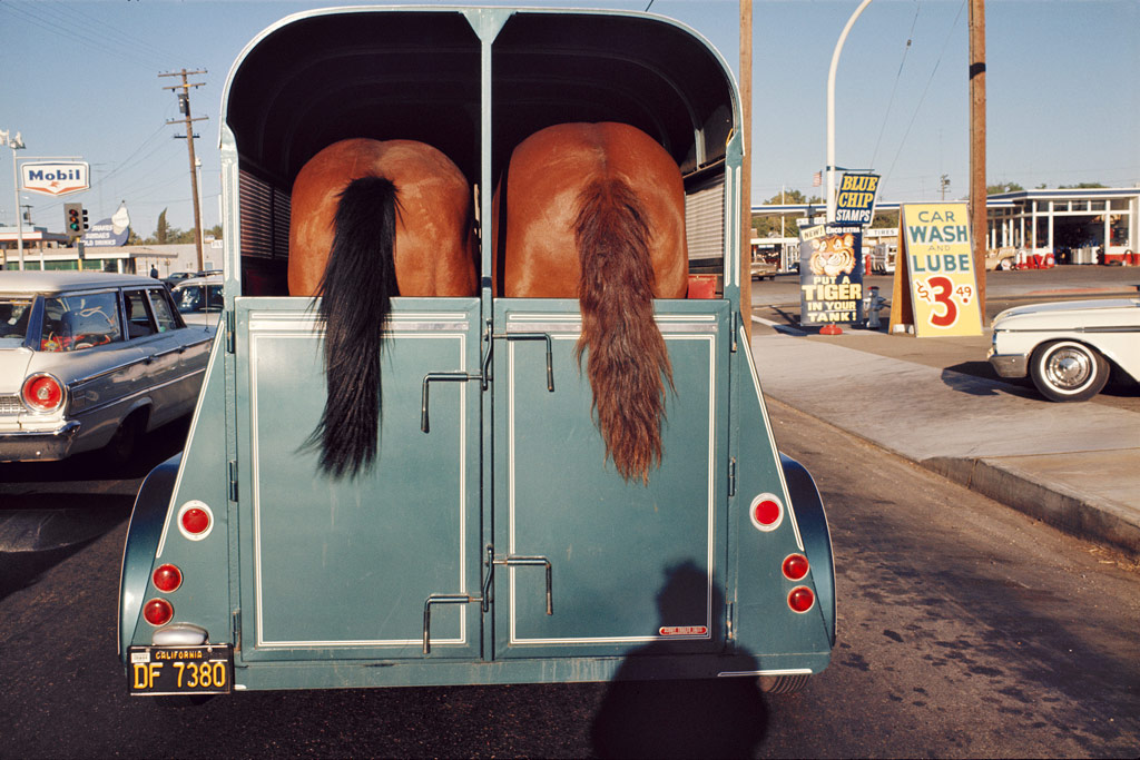 Joel Mayerowitz, a pale blue horse trailer with two brown horses photographed from behind