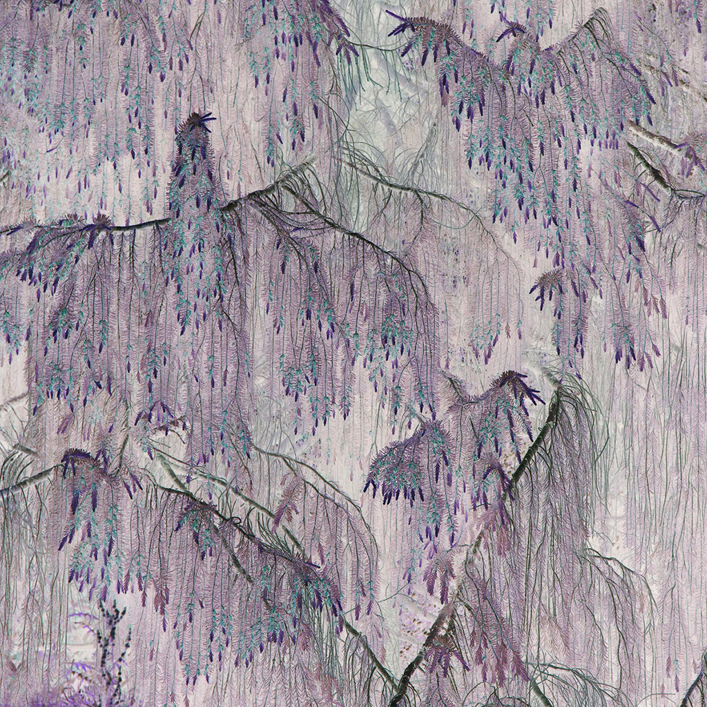 'Birdscape' © June Sharpe, 1st Place, 7IM Abstract Views, Overall Winner, IGPOTY Competition 17.