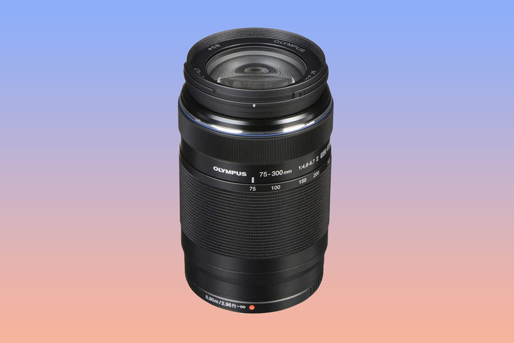 
The Olympus M.Zuiko Digital ED 75-300mm F4.8-6.7 II is great value for money.
