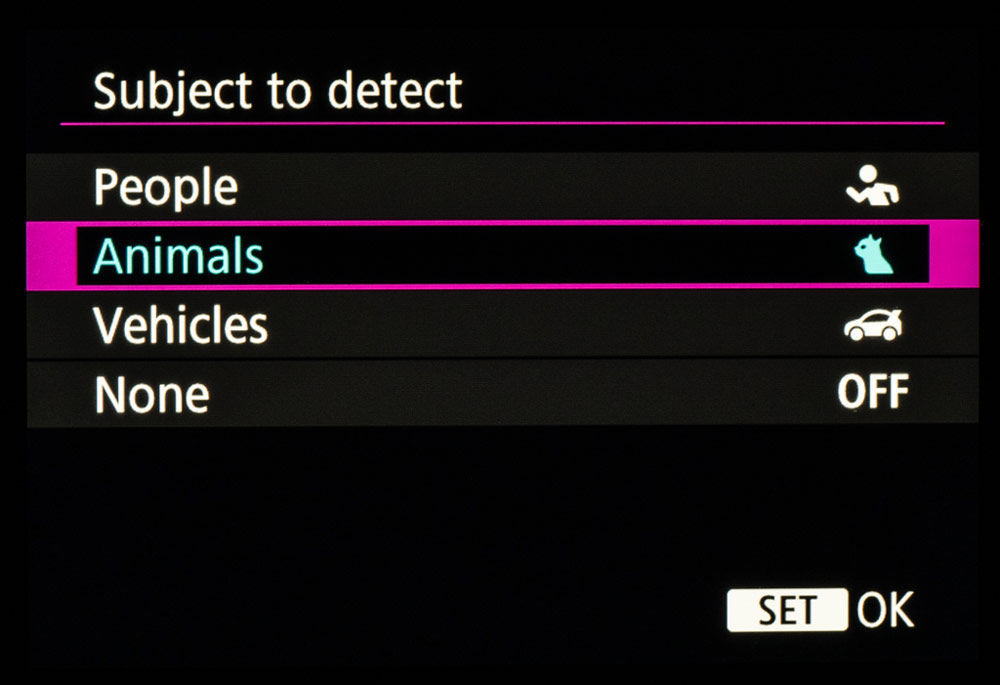 Canon advertorial subject detection