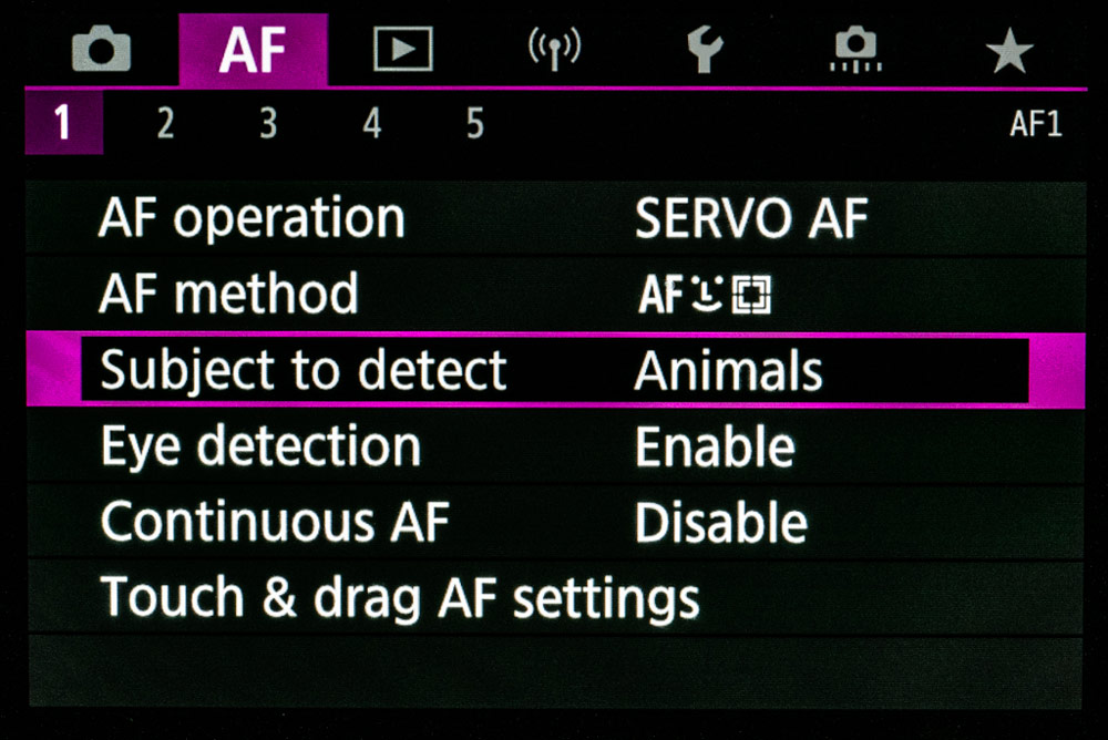 Canon advertorial subject detection