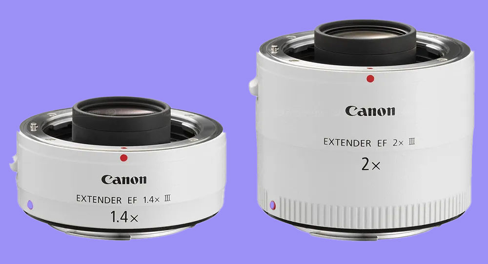 An extender to a compatible lens can give you that extra bit of reach