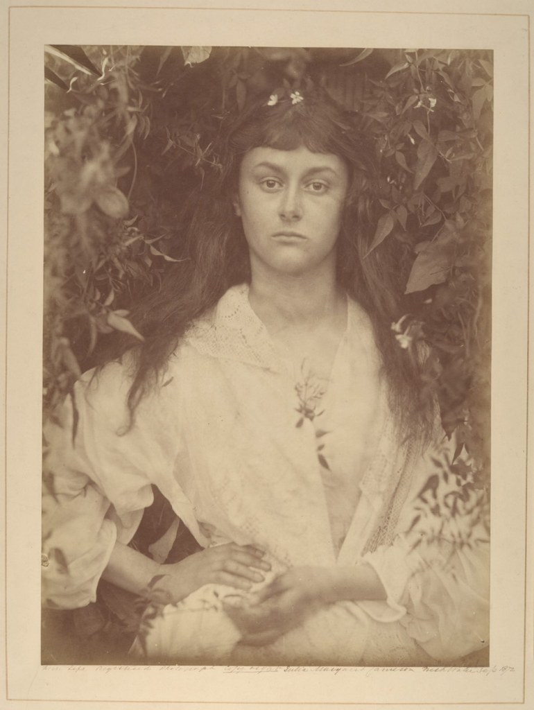 Pomona, Julia Margaret Cameron