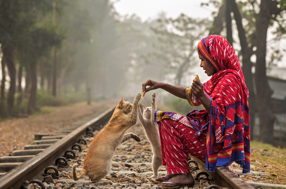 Pink Lady Food Photographer of the Year shortlist 2