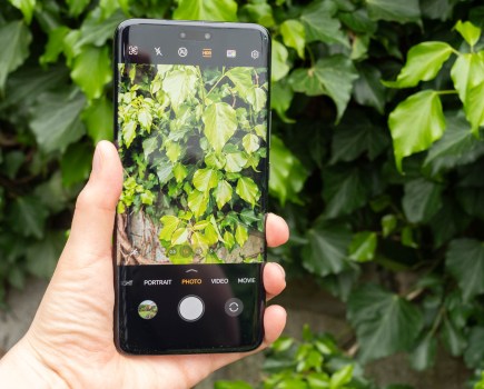 Honor Magic 6 Pro native camera app with green leaves on the display