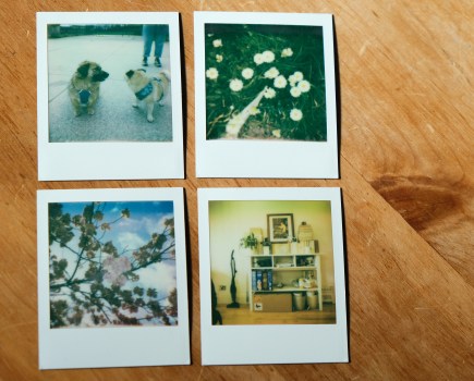 Photos taken with Polaroid Go Generation 2