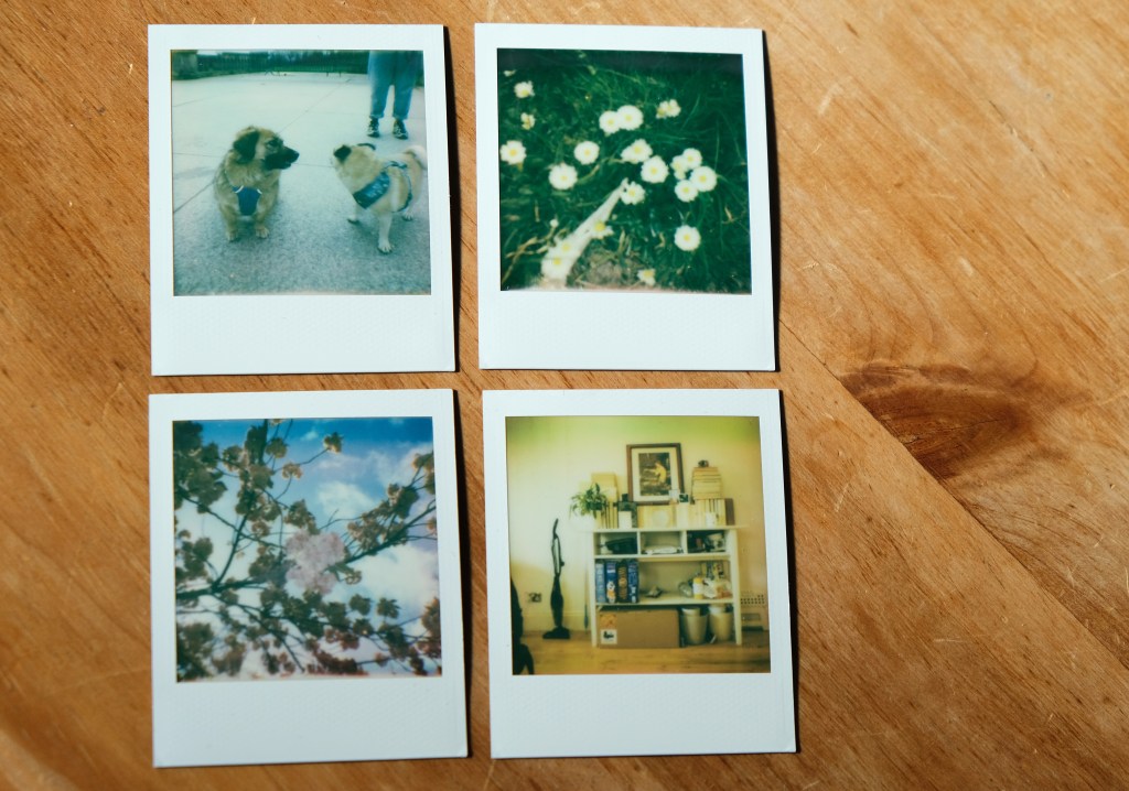 Photos taken with Polaroid Go Generation 2