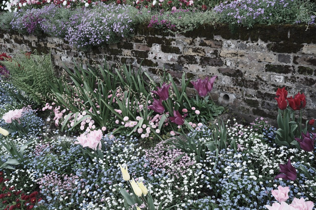 Eterna bleach bypass on the tulip garden border, low saturation and high contrast