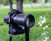 Nikon Z7II. Image: Alíz Kovács-Zöldi