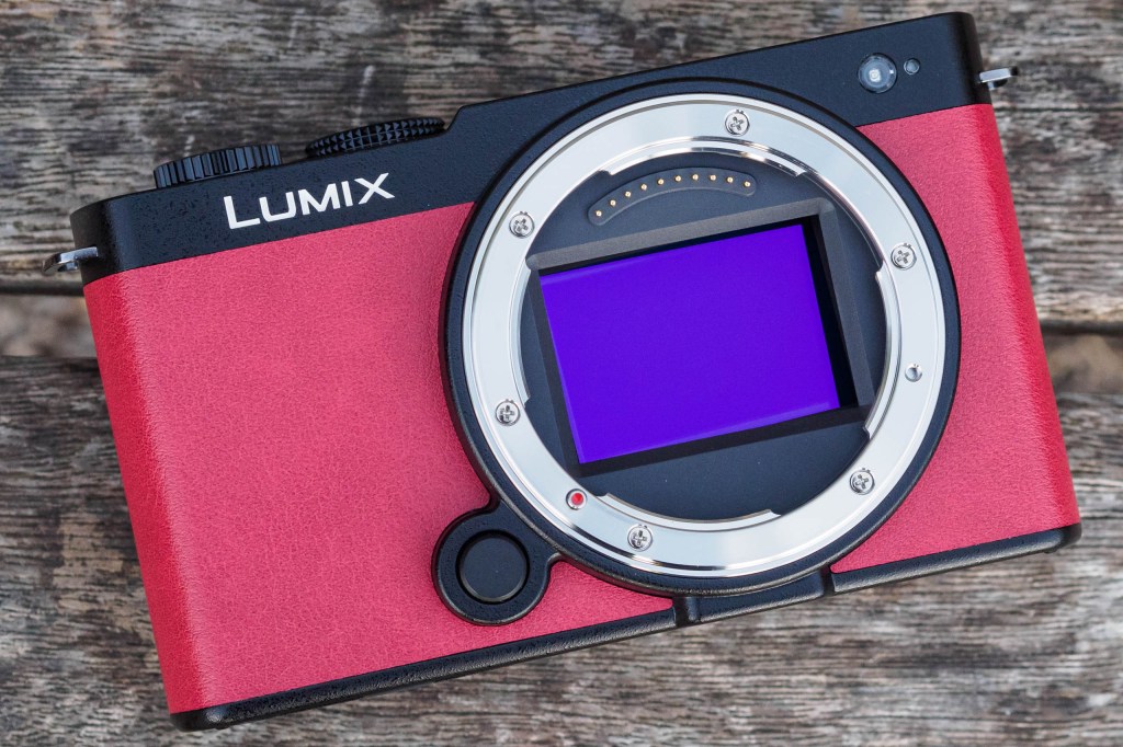 Panasonic Lumix S9 24MP full-frame sensor
