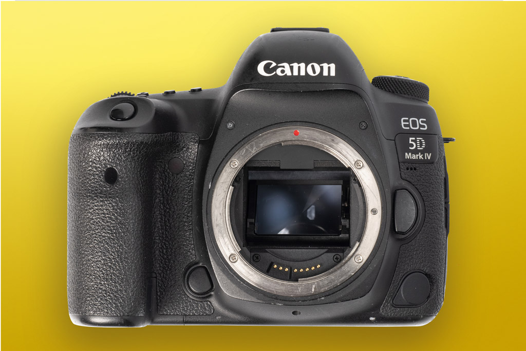 Canon EOS R5 vs Canon EOS 5D Mark IV - Mirrorless vs DSLR - which is ...