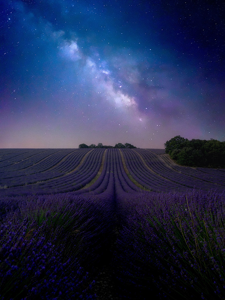 lavender field at night with stars showing in the background iPhone 12 Pro Max, using the amazing ReeXpose app from Reeflex