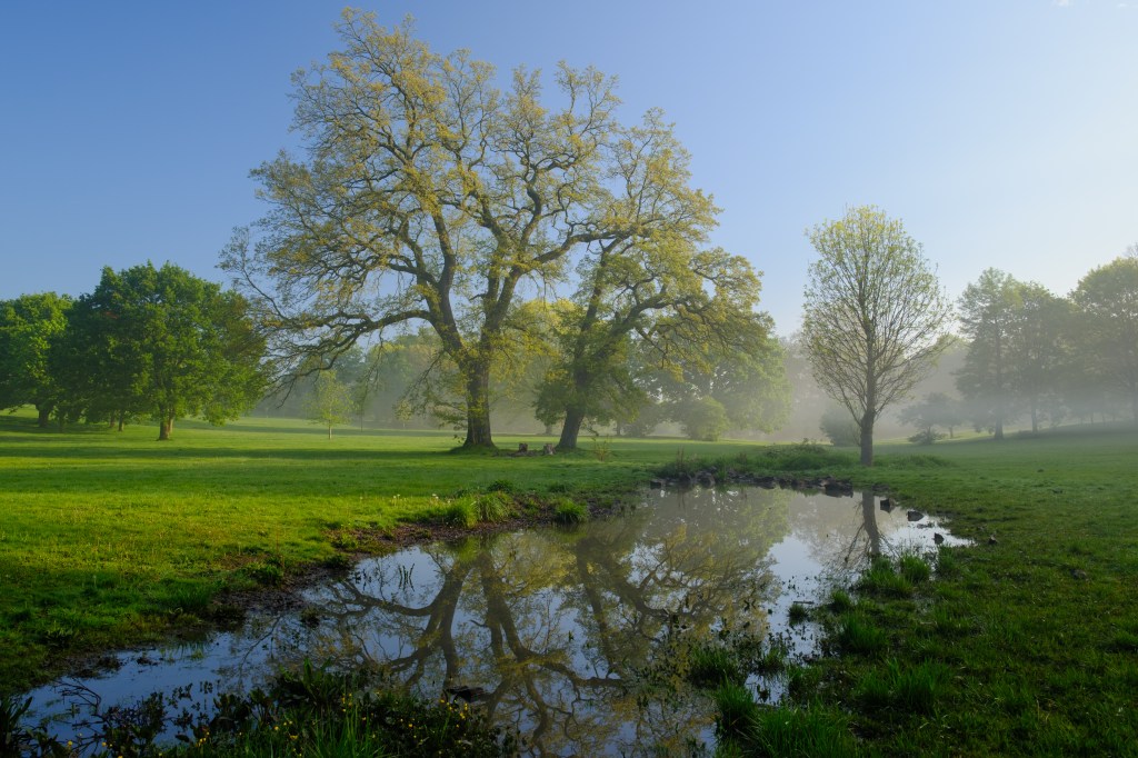 Sample image shot with the WCL-X100 wide converter on the Fujifilm X100VI